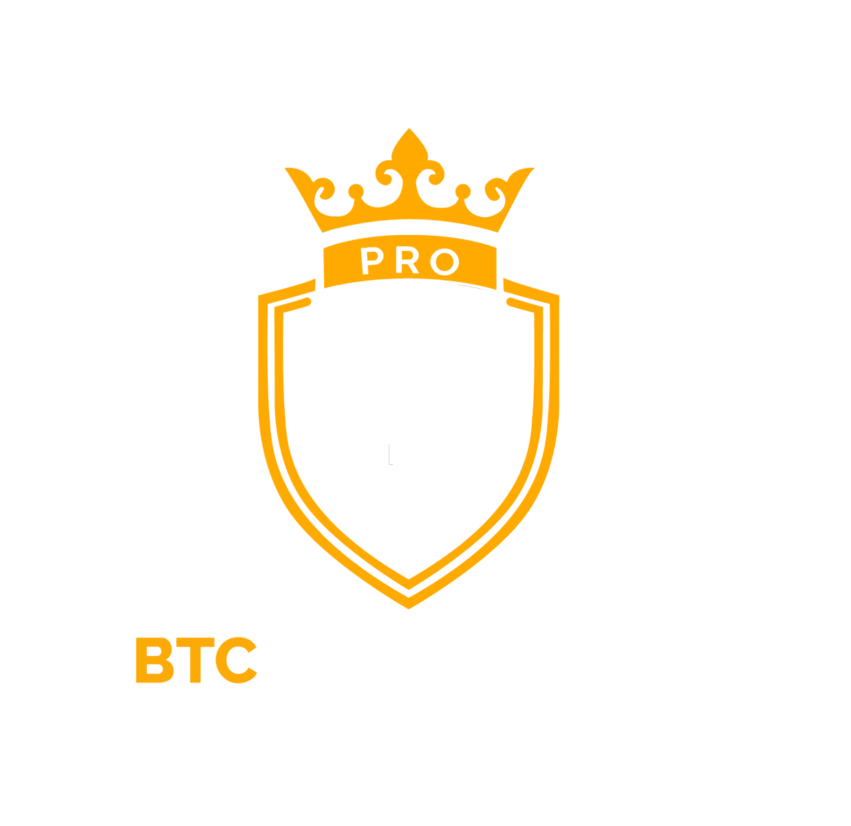 BTC Recovery Pro